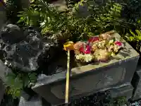 本郷氷川神社の{uncategorized: "未分類", other: "その他", undefined: "問題あり", building: "その他建物", grave: "お墓", sacred_gate: "鳥居", guardian: "狛犬", statue: "像", buddha: "仏像", history: "歴史", nature: "自然", garden: "庭園", animal: "動物", pagoda: "塔", temizu: "手水舎", mountain_gate: "山門・神門", sanctuary: "本殿・本堂", subordinate: "末社・摂社", art: "芸術", scenery: "景色", jizo: "地蔵", ema: "絵馬", goshuin: "御朱印", omikuji: "おみくじ", items: "授与品その他", amulet: "お守り", goshuincho: "御朱印帳", eats: "食事", festival: "お祭り", votive_dance: "神楽", shichigosan: "七五三参", wedding: "結婚式", experience: "体験その他", initially: "初詣", around: "周辺", anti_infection: "感染症対策"}