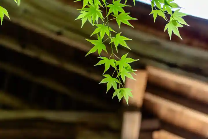 大元神社(厳島神社境外摂社)(広島県)