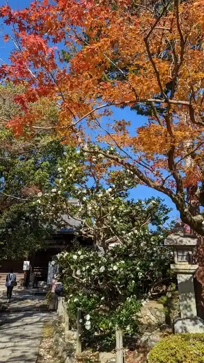 神光院(京都府)