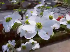 滑川神社 - 仕事と子どもの守り神の自然