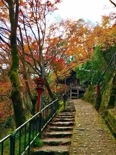 愛宕念仏寺(京都府)