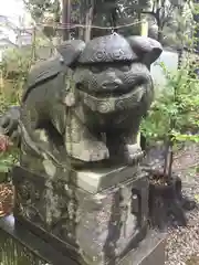 菊田神社の狛犬