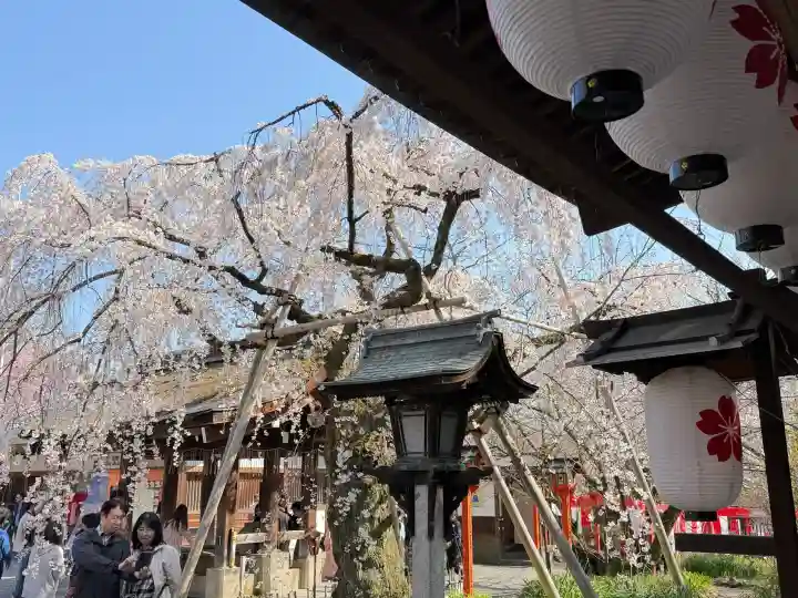 平野神社の{uncategorized: "未分類", other: "その他", undefined: "問題あり", building: "その他建物", grave: "お墓", sacred_gate: "鳥居", guardian: "狛犬", statue: "像", buddha: "仏像", history: "歴史", nature: "自然", garden: "庭園", animal: "動物", pagoda: "塔", temizu: "手水舎", mountain_gate: "山門・神門", sanctuary: "本殿・本堂", subordinate: "末社・摂社", art: "芸術", scenery: "景色", jizo: "地蔵", ema: "絵馬", goshuin: "御朱印", omikuji: "おみくじ", items: "授与品その他", amulet: "お守り", goshuincho: "御朱印帳", eats: "食事", festival: "お祭り", votive_dance: "神楽", shichigosan: "七五三参", wedding: "結婚式", experience: "体験その他", initially: "初詣", around: "周辺", anti_infection: "感染症対策"}