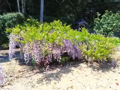 東光寺(愛知県)