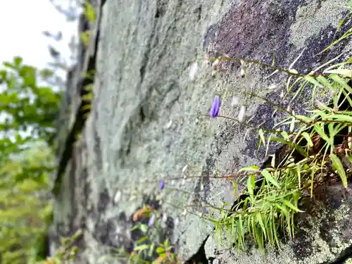 高峯神社(大室神社奥宮)の自然