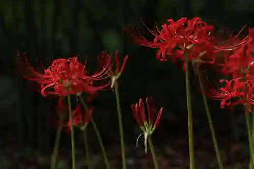 開成山大神宮の庭園