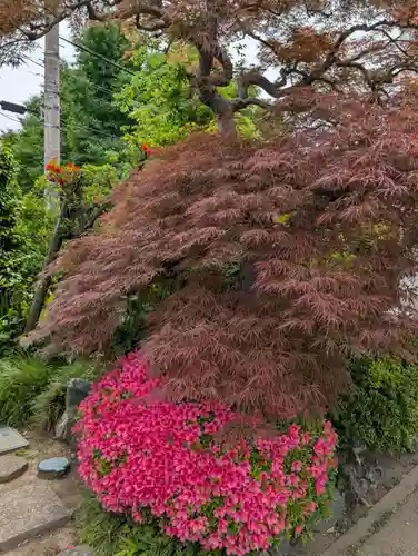 真言宗智山派金澤山福泉寺圓能院(神奈川県)