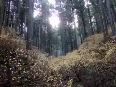 焼森山雷神神社の景色