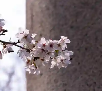 大石神社(京都府)