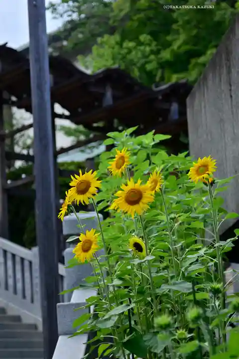 伊勢山皇大神宮(神奈川県)