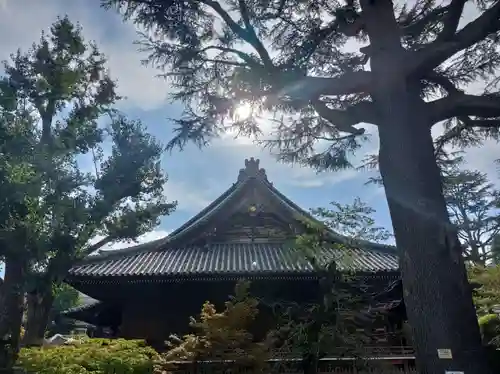 寛永寺(根本中堂)(東京都)