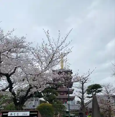 浅草寺(東京都)