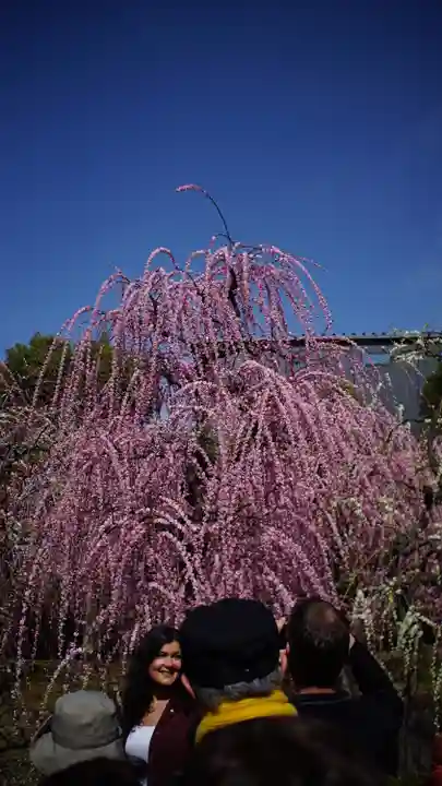 城南宮(京都府)
