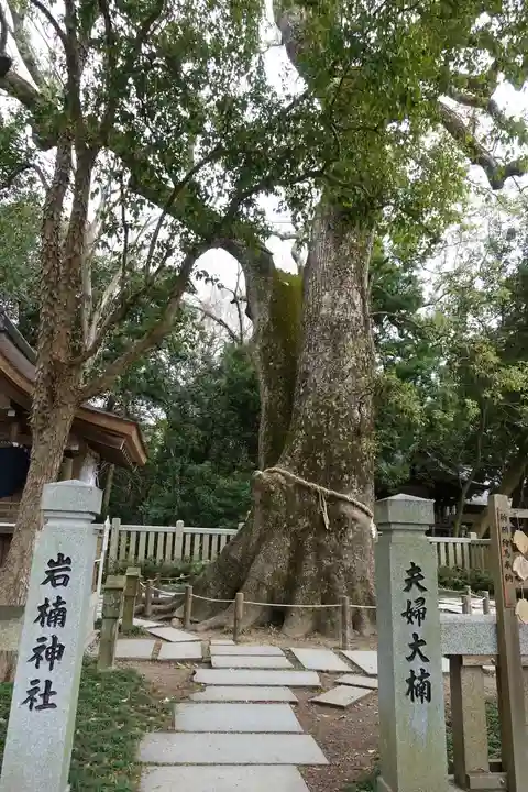 伊弉諾神宮の自然