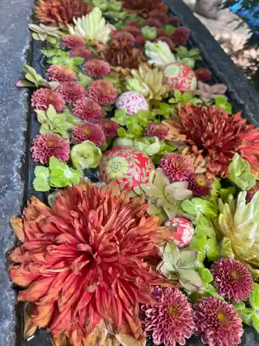 行田八幡神社の手水舎