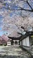 吒枳尼天(法伝寺)の鳥居
