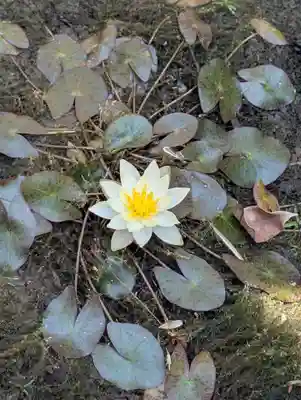 堀切天祖神社(東京都)