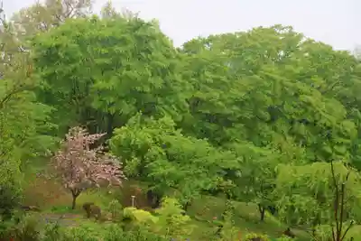 阿久津「田村神社」（郡山市阿久津町）旧社名：伊豆箱根三嶋三社の景色