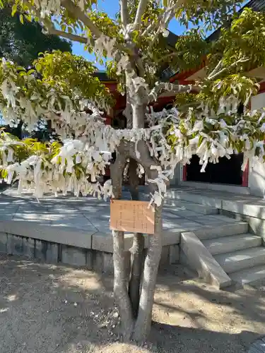 稲爪神社のおみくじ