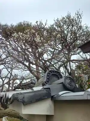 薬師院(神奈川県)