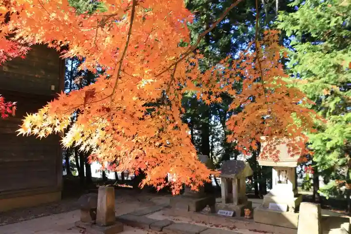 滑川神社 - 仕事と子どもの守り神の自然