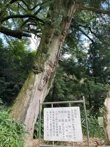 大興寺(香川県)