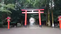 霧島神宮の鳥居