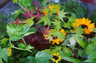 東海市熊野神社の手水舎