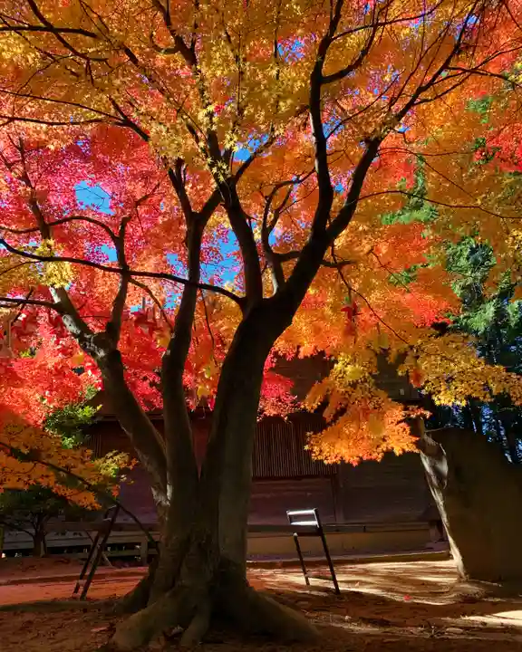 滑川神社 - 仕事と子どもの守り神の自然