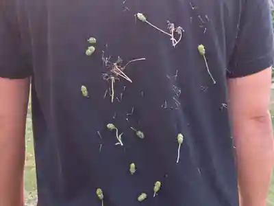 蓮久寺(千葉県)