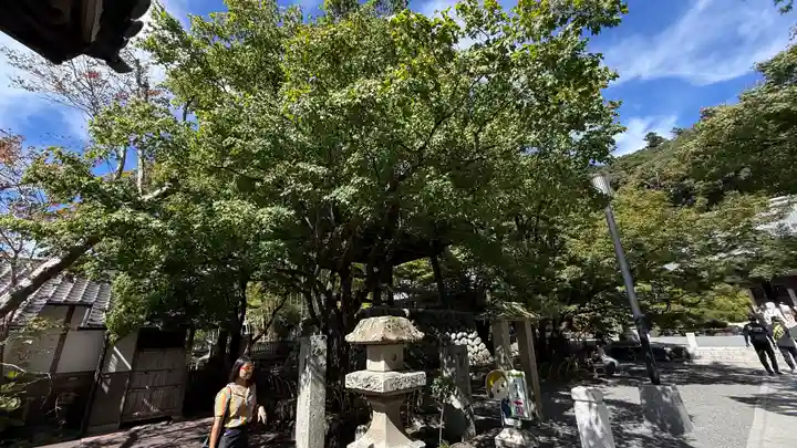 修禅寺(静岡県)