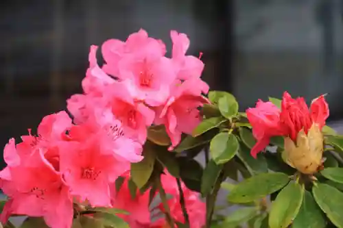 阿邪訶根神社の周辺