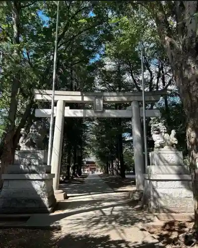 諏訪神社(東京都)