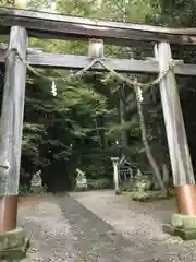 戸隠神社宝光社の鳥居