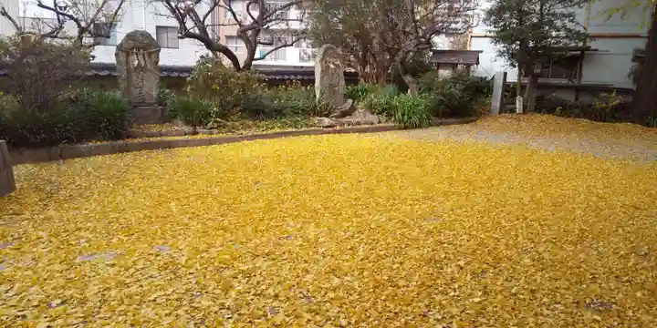 二日市八幡宮の自然