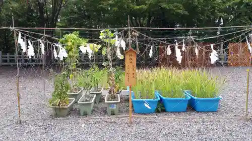 上川神社の庭園