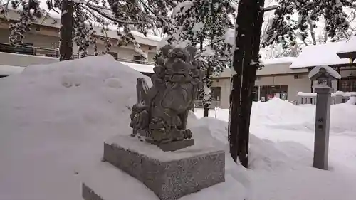 新琴似神社の狛犬