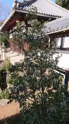 興聖寺(興聖寶林禅寺)(京都府)