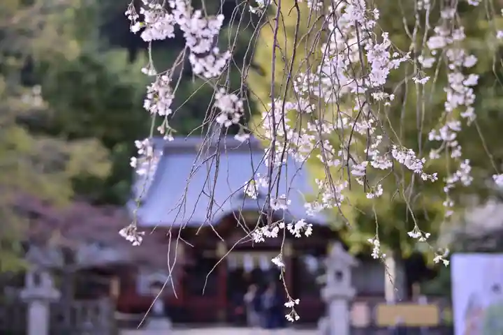 伊豆山神社(静岡県)