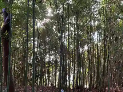 八大龍神社の自然
