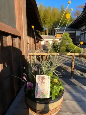 妙蓮寺(神奈川県)