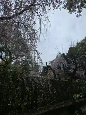 南禅寺の{uncategorized: "未分類", other: "その他", undefined: "問題あり", building: "その他建物", grave: "お墓", sacred_gate: "鳥居", guardian: "狛犬", statue: "像", buddha: "仏像", history: "歴史", nature: "自然", garden: "庭園", animal: "動物", pagoda: "塔", temizu: "手水舎", mountain_gate: "山門・神門", sanctuary: "本殿・本堂", subordinate: "末社・摂社", art: "芸術", scenery: "景色", jizo: "地蔵", ema: "絵馬", goshuin: "御朱印", omikuji: "おみくじ", items: "授与品その他", amulet: "お守り", goshuincho: "御朱印帳", eats: "食事", festival: "お祭り", votive_dance: "神楽", shichigosan: "七五三参", wedding: "結婚式", experience: "体験その他", initially: "初詣", around: "周辺", anti_infection: "感染症対策"}