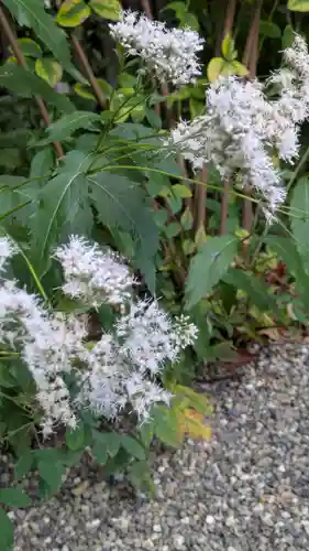 梨木神社(京都府)