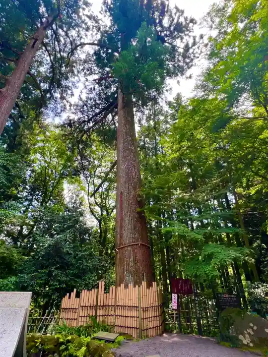 水澤寺(水澤観世音)(群馬県)