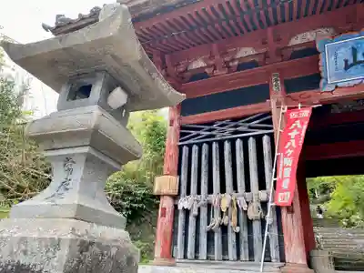 長谷寺(新潟県)