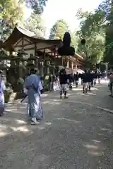 春日大社のお祭り