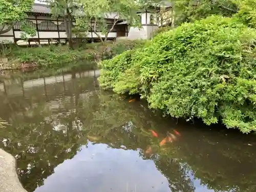 時宗総本山 遊行寺（正式：清浄光寺）の庭園