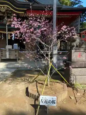 山倉大神の{uncategorized: "未分類", other: "その他", undefined: "問題あり", building: "その他建物", grave: "お墓", sacred_gate: "鳥居", guardian: "狛犬", statue: "像", buddha: "仏像", history: "歴史", nature: "自然", garden: "庭園", animal: "動物", pagoda: "塔", temizu: "手水舎", mountain_gate: "山門・神門", sanctuary: "本殿・本堂", subordinate: "末社・摂社", art: "芸術", scenery: "景色", jizo: "地蔵", ema: "絵馬", goshuin: "御朱印", omikuji: "おみくじ", items: "授与品その他", amulet: "お守り", goshuincho: "御朱印帳", eats: "食事", festival: "お祭り", votive_dance: "神楽", shichigosan: "七五三参", wedding: "結婚式", experience: "体験その他", initially: "初詣", around: "周辺", anti_infection: "感染症対策"}