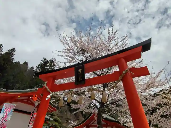 金櫻神社(山梨県)