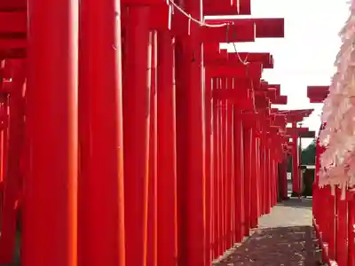 小泉稲荷神社の鳥居